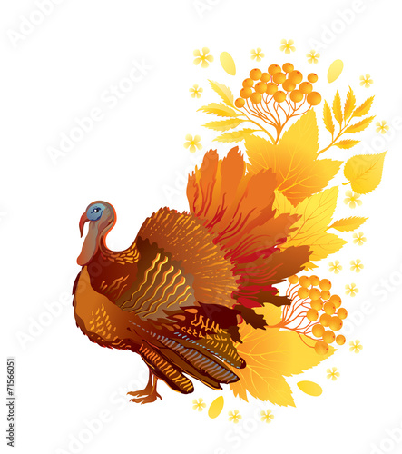 Thanksgiving card with turkey