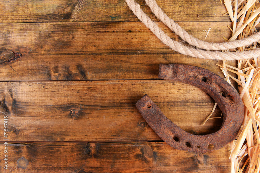 American West still life with old horseshoe and cowboy lasso American West still life with old horseshoe and cowboy lasso