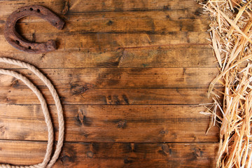 American West still life with old horseshoe and cowboy lasso
