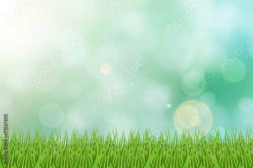 sky and grass field background