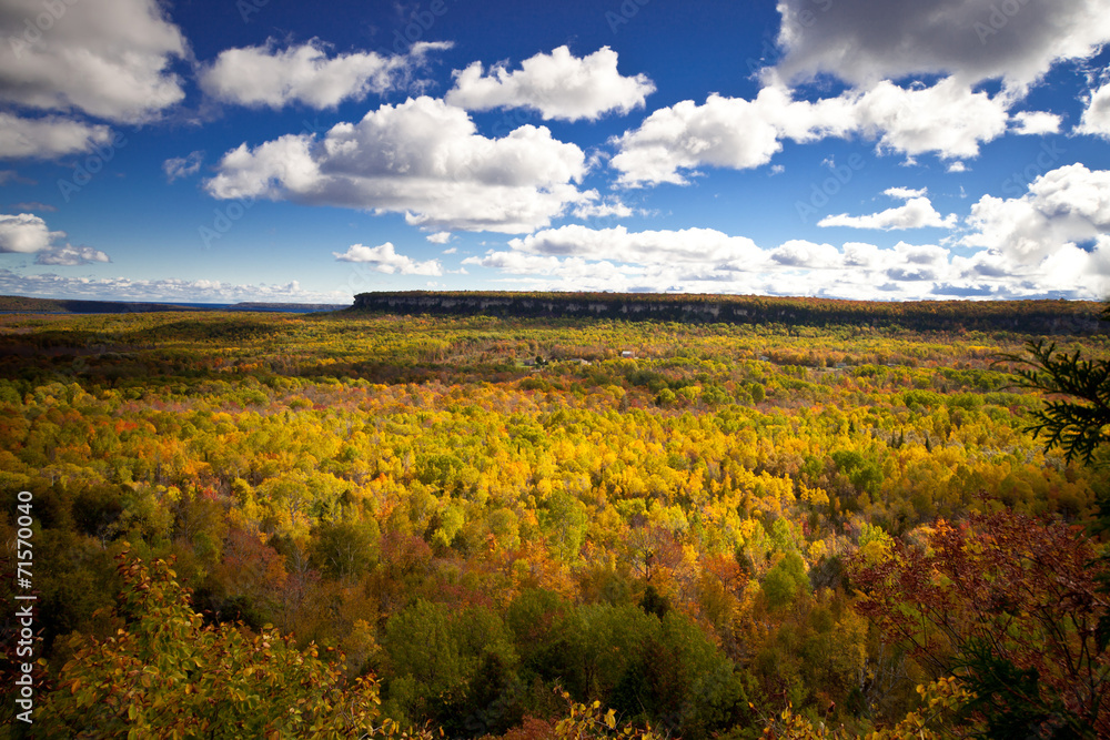 Cape Croker Cliff Autumn Fall Forest Trees landscape