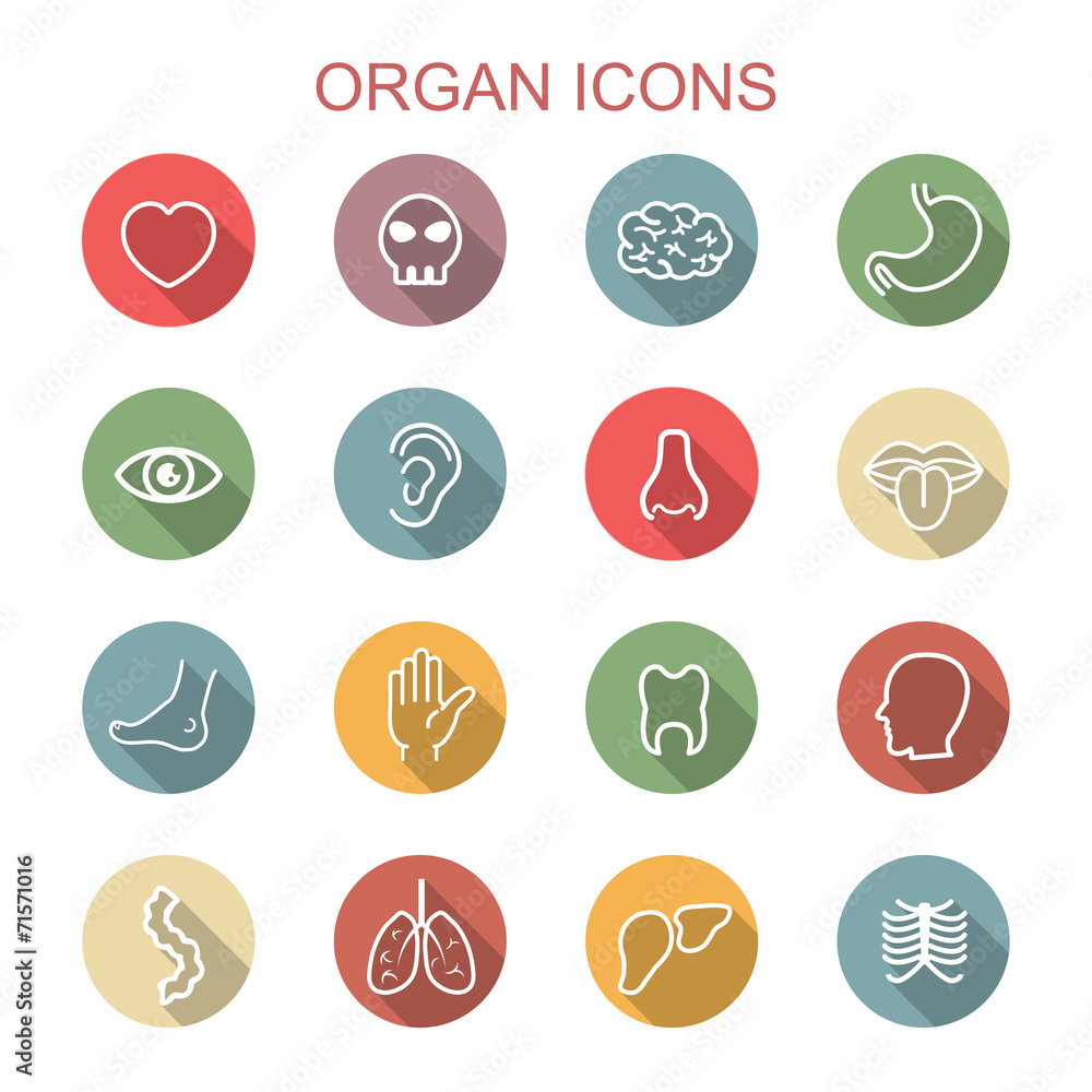 organ long shadow icons