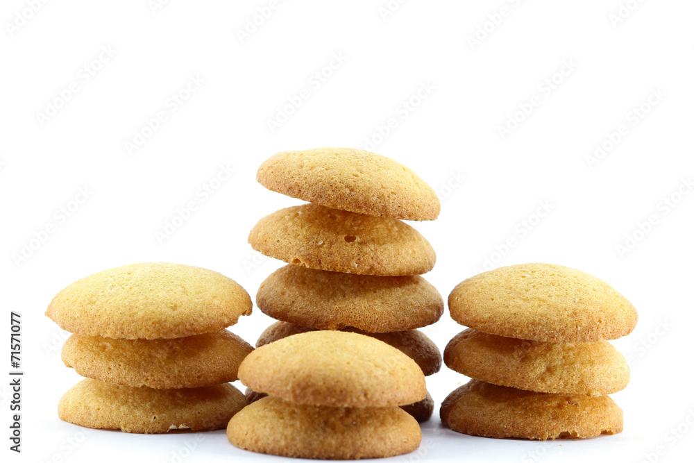 sponge biscuit on white background sponge biscuit on white background
