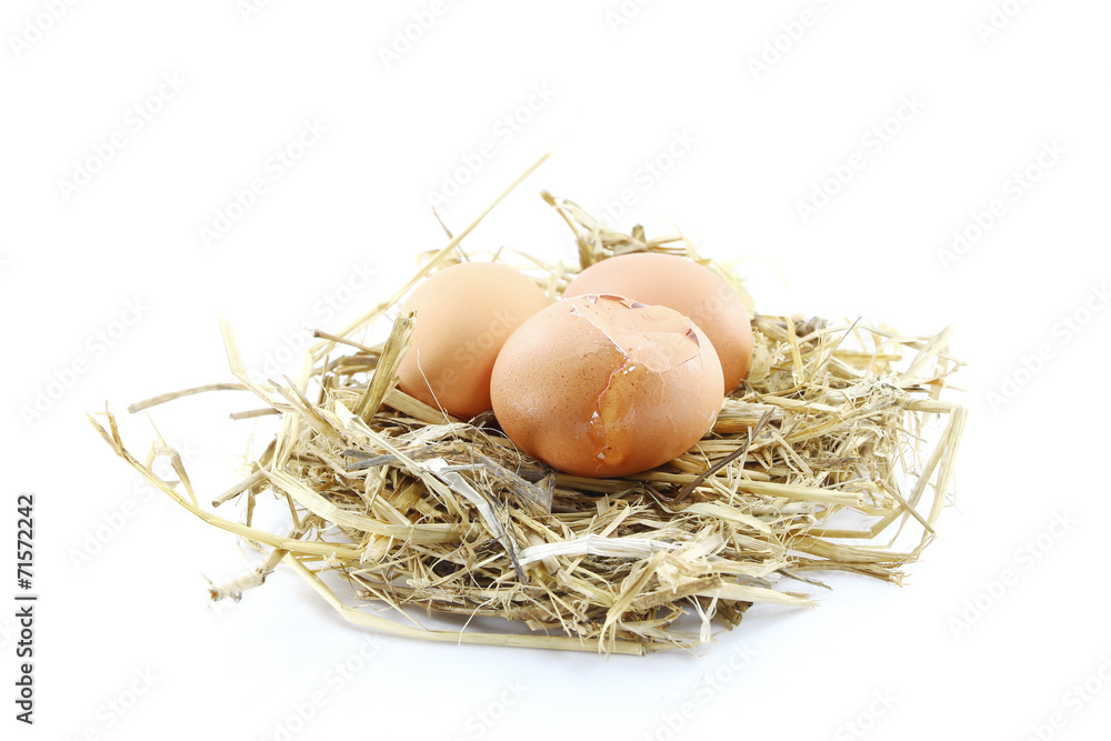 egg egg