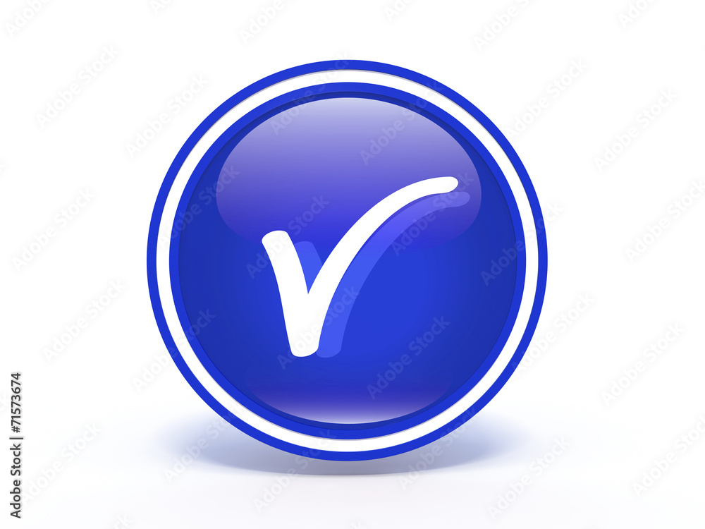 check circular icon on white background check circular icon on white background