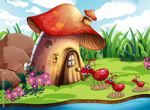 Ant and mushroom