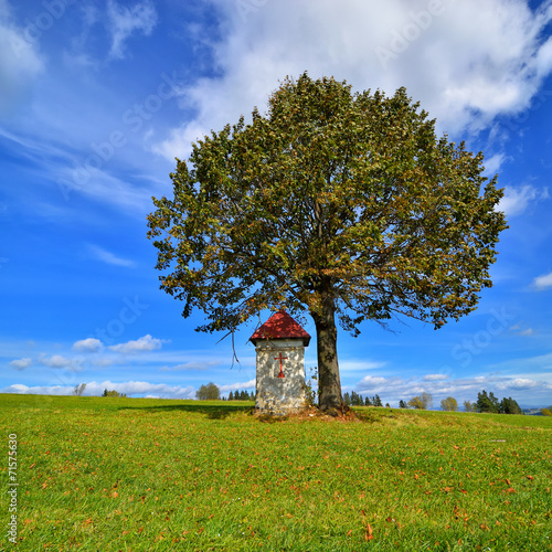 Landscape with roadside shrine. Poland. photo