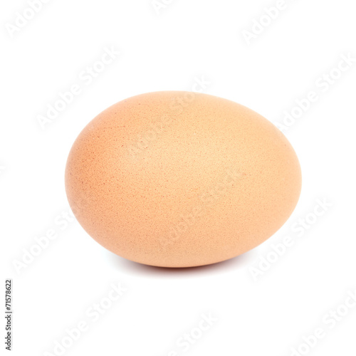 egg on a white background