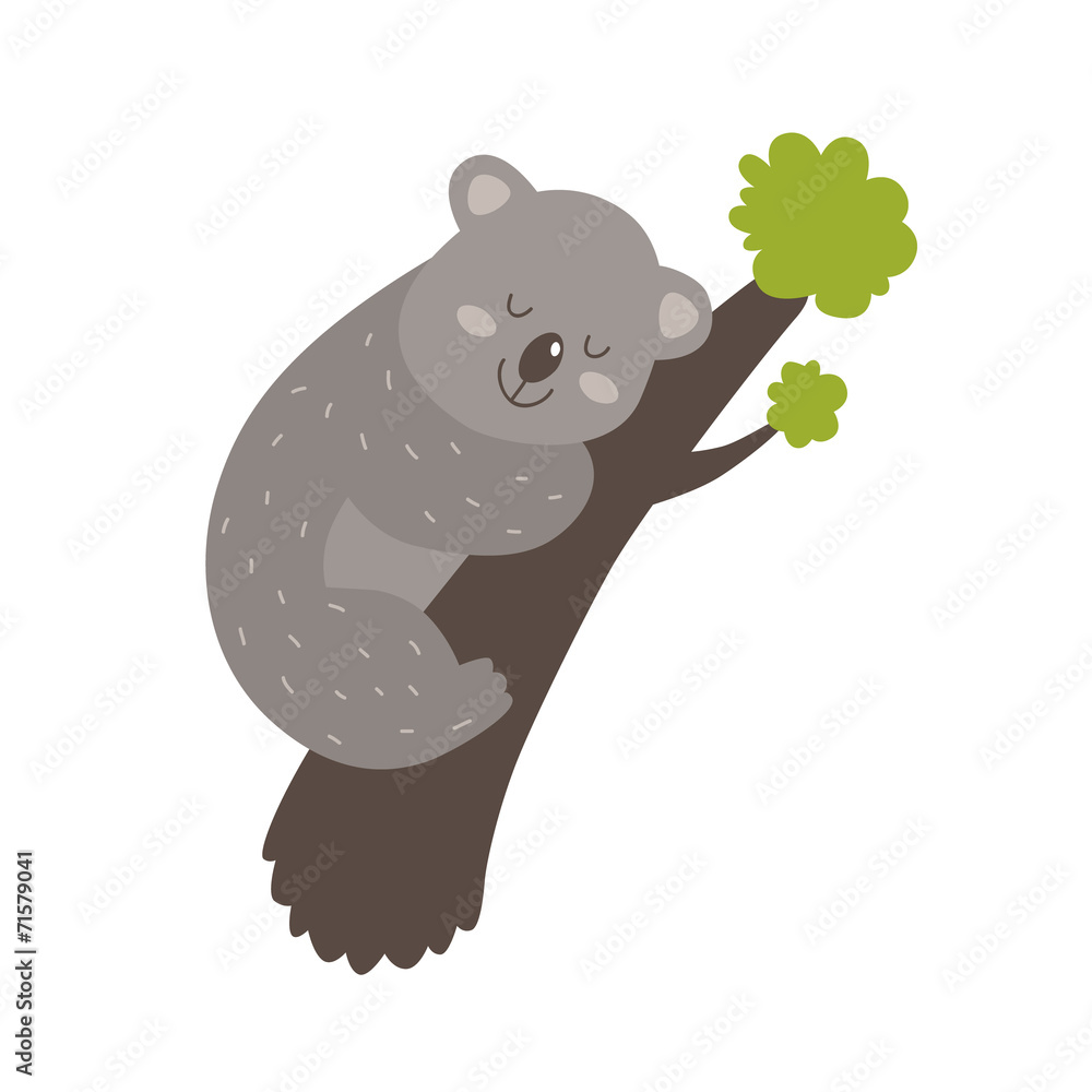 Obraz premium Cute vector koala