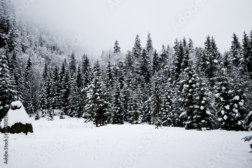 Winter season © annalisa troian