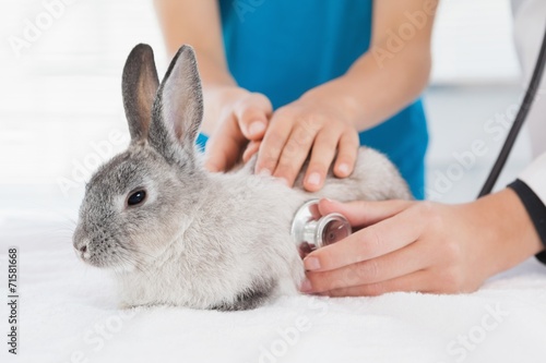 Vet examining a bunny with its owner