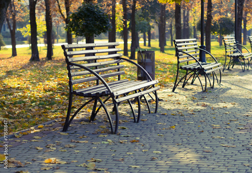 Urban landscape - benches in autumn park
