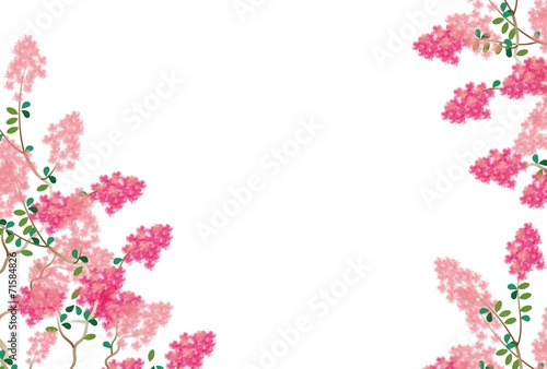 ピンクのサルスベリの花のグリーティングカード