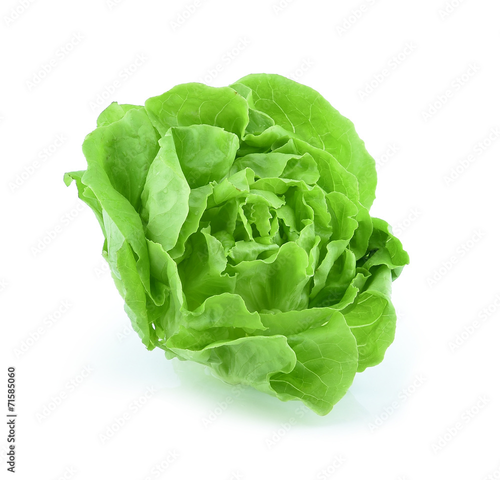Cos Lettuce on White Background Cos Lettuce on White Background