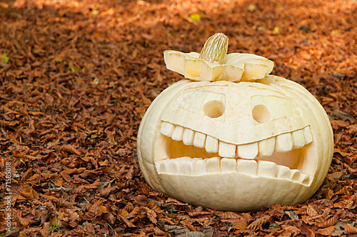 Angstgesicht zu Halloween allein im Wald photo