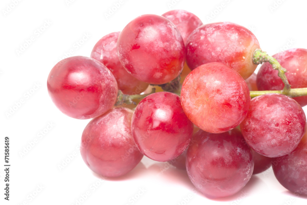 Red grape