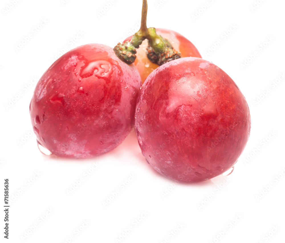 Obraz premium Red grape