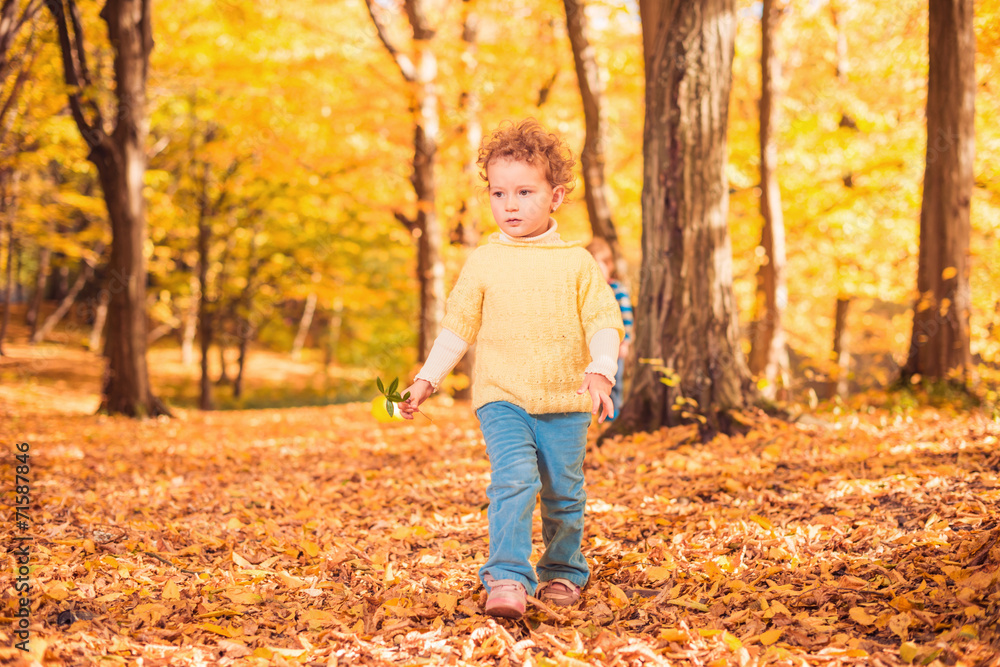 girl with green plant walking through fall forest girl with green plant walking through fall forest