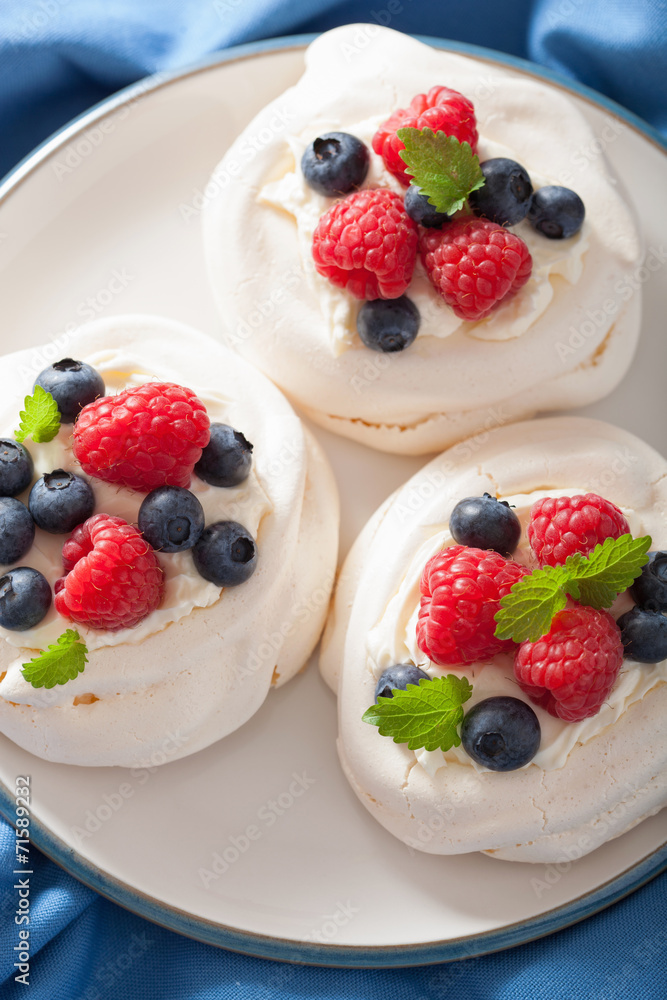 pavlova meringue cake with cream and berry pavlova meringue cake with cream and berry