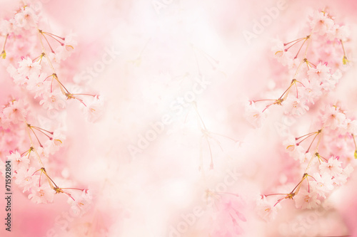 Abstract pink flower background