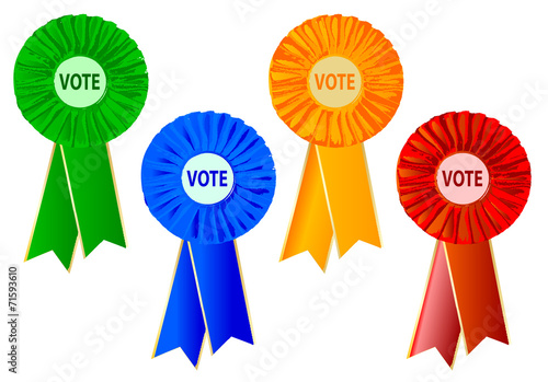 Political Rosettes
