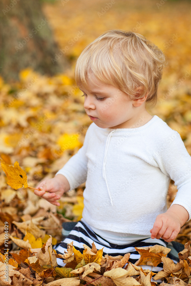 Little toddler boy playing in autumn park Little toddler boy playing in autumn park