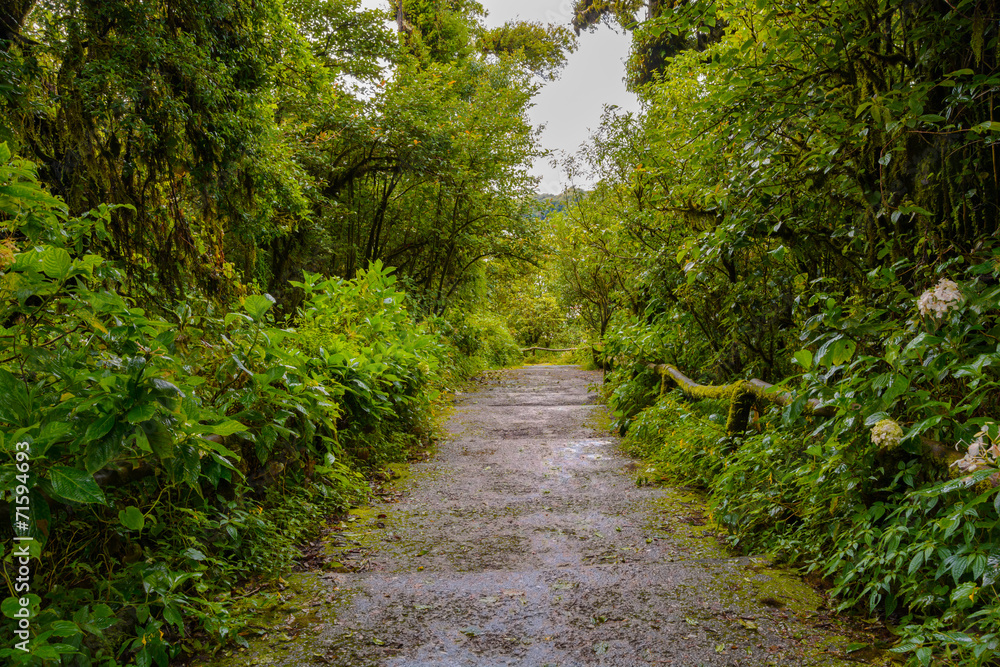 Foot path Foot path