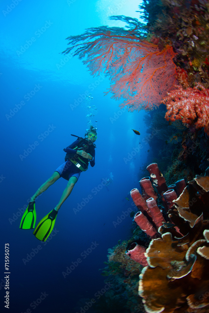 Indonesia Stock Photo Adobe Stock Indonesia Stock Photo Adobe Stock