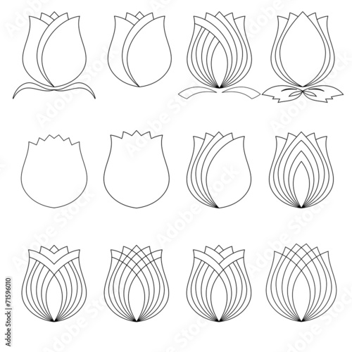 Fototapeta Naklejka Na Ścianę i Meble -  tuliip, Flower symbol Set, vector