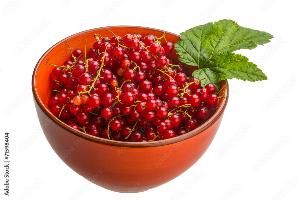 Red currant Red currant