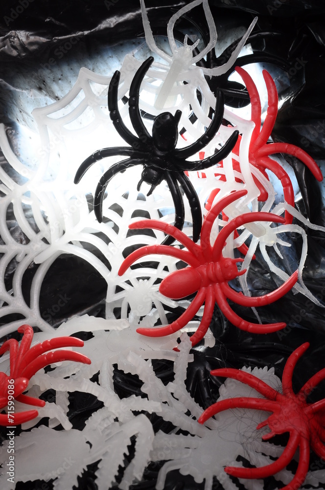 Plastic spider and web for Halloween Plastic spider and web for Halloween