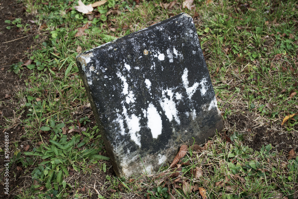 Obraz premium A Old Grave Stone in a Historic Cemetery