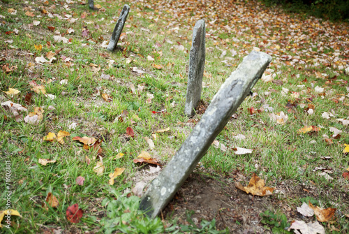 Schilderij op canvas Old Grave Markers with Fallen Foliage on the Ground