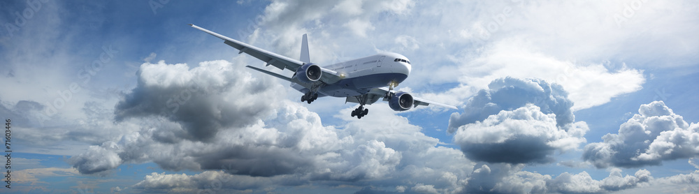 Obraz premium Jet aircraft in a cloudy sky