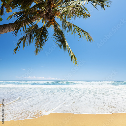 Fototapeta Naklejka Na Ścianę i Meble -  Tropical beach