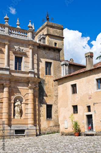 Fototapeta Naklejka Na Ścianę i Meble -  Padula Charterhouse. Campania. Italy.