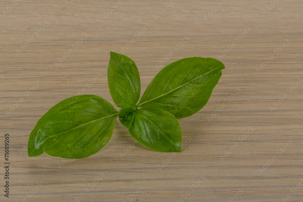 Basil leaves Basil leaves