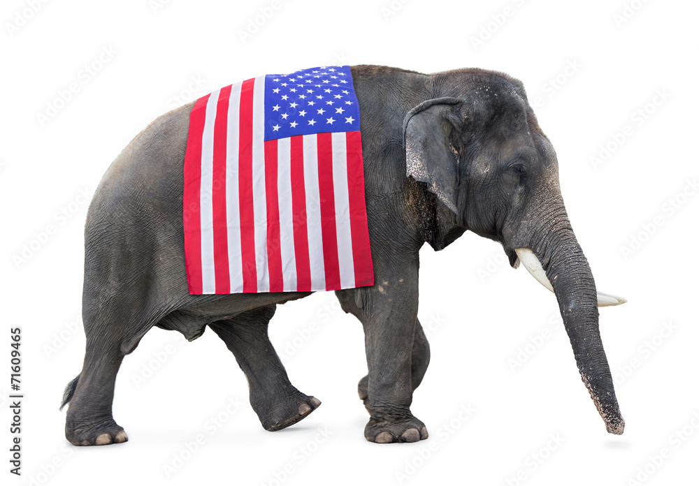 Obraz premium elephant carries a flag USA