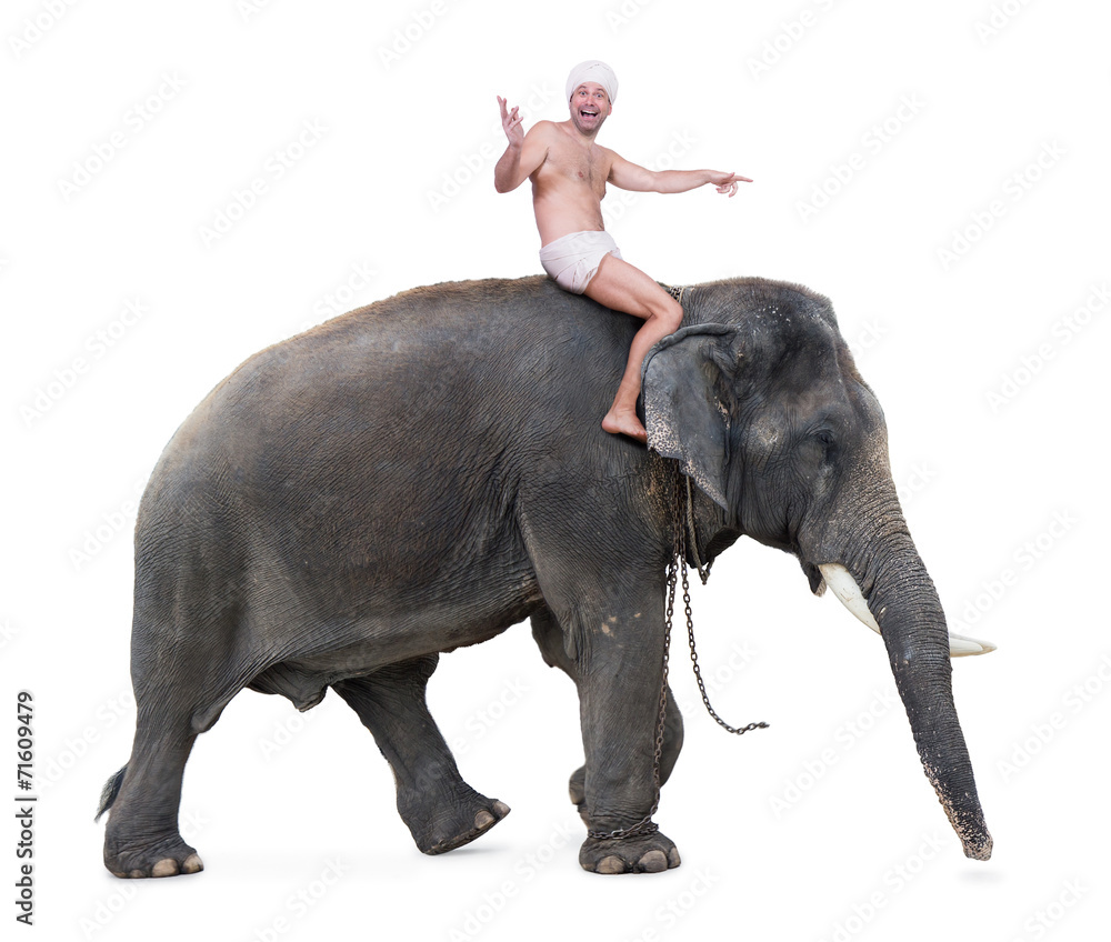 Fototapeta cheerful mahout rides on an elephant