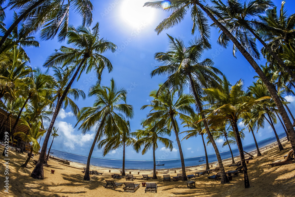 spiaggia di palme