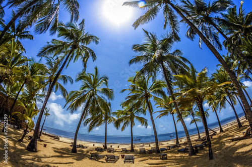 Fototapeta Naklejka Na Ścianę i Meble -  spiaggia di palme
