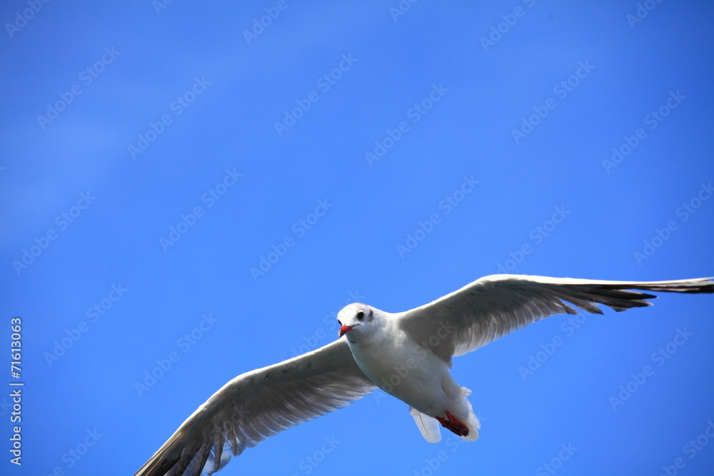 Obraz premium Selbstbestimmung