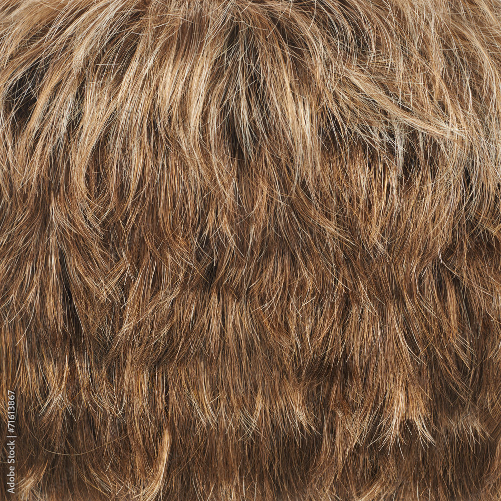 Fototapeta premium Hair fragment as a background composition
