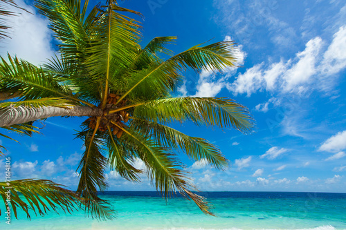 Rest in Paradise - Malediven - Palmenstrand, Himmel und Meer © hetwig