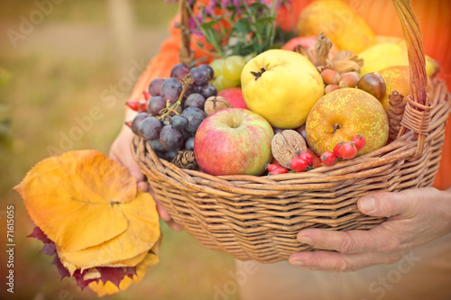 Fototapeta Naklejka Na Ścianę i Meble -  Autumn fruits in hands of woman