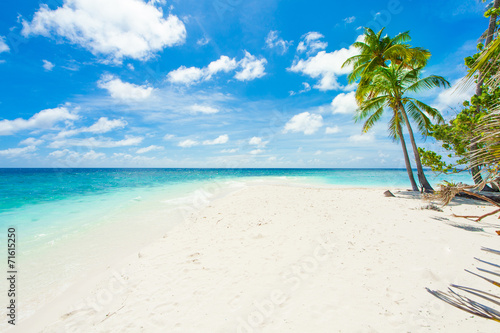 Fototapeta Naklejka Na Ścianę i Meble -  Rest in Paradise - Malediven - Palmenstrand, Himmel und Meer