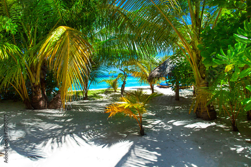 Rest in Paradise - Malediven - Palmen  Himmel und Meer