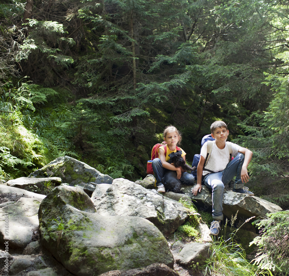 Children in forest Children in forest