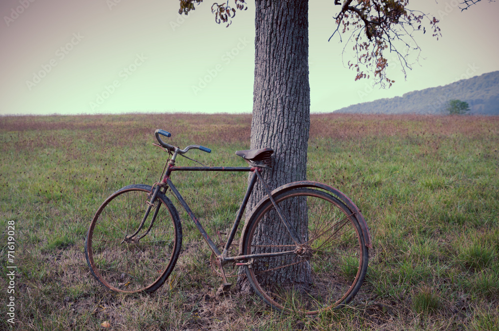 Fototapeta premium Antique or retro oxidized bicycle outside