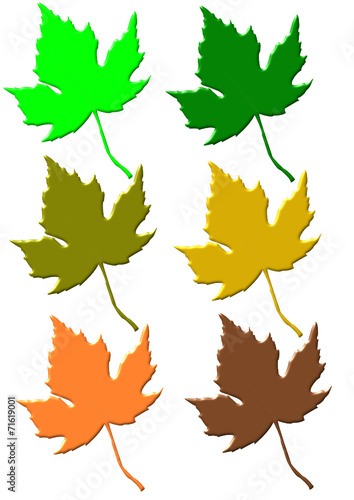 leaves
